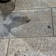 ヒメ日記 2025/11/09 20:47 投稿 るか クラブダイヤモンド名古屋