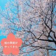 ヒメ日記 2025/03/31 19:05 投稿 吉田 熟女の風俗最終章 新横浜店