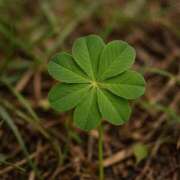 ヒメ日記 2025/04/01 07:56 投稿 吉田 熟女の風俗最終章 新横浜店