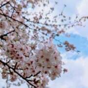 ヒメ日記 2025/04/10 14:16 投稿 吉田 熟女の風俗最終章 新横浜店