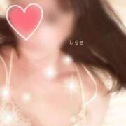 ヒメ日記 2025/04/01 09:58 投稿 白瀬(しらせ) 人妻出逢い会 百合の園 山の手本店