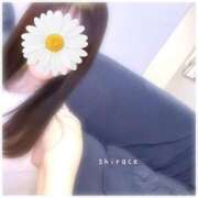 ヒメ日記 2025/09/18 13:40 投稿 白瀬(しらせ) 人妻出逢い会 百合の園 山の手本店