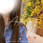 ヒメ日記 2025/10/03 10:24 投稿 白瀬(しらせ) 人妻出逢い会 百合の園 山の手本店