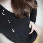 ヒメ日記 2025/11/03 08:17 投稿 白瀬(しらせ) 人妻出逢い会 百合の園 山の手本店