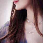 ヒメ日記 2025/11/03 13:22 投稿 白瀬(しらせ) 人妻出逢い会 百合の園 山の手本店