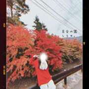 ヒメ日記 2025/11/06 16:37 投稿 白瀬(しらせ) 人妻出逢い会 百合の園 山の手本店