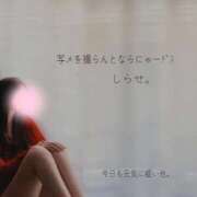 ヒメ日記 2025/11/10 13:13 投稿 白瀬(しらせ) 人妻出逢い会 百合の園 山の手本店