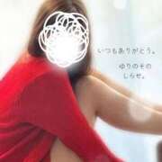 ヒメ日記 2025/11/14 08:27 投稿 白瀬(しらせ) 人妻出逢い会 百合の園 山の手本店