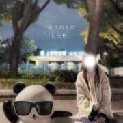 ヒメ日記 2025/11/15 12:47 投稿 白瀬(しらせ) 人妻出逢い会 百合の園 山の手本店