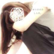 ヒメ日記 2025/12/04 08:13 投稿 白瀬(しらせ) 人妻出逢い会 百合の園 山の手本店