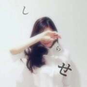 ヒメ日記 2026/01/31 08:37 投稿 白瀬(しらせ) 人妻出逢い会 百合の園 山の手本店