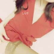 ヒメ日記 2026/03/16 15:47 投稿 白瀬(しらせ) 人妻出逢い会 百合の園 山の手本店