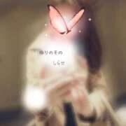 ヒメ日記 2026/03/17 11:17 投稿 白瀬(しらせ) 人妻出逢い会 百合の園 山の手本店