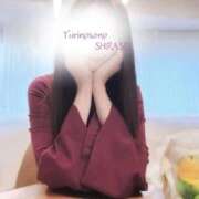 ヒメ日記 2026/03/31 08:27 投稿 白瀬(しらせ) 人妻出逢い会 百合の園 山の手本店