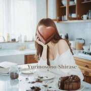 ヒメ日記 2026/04/03 13:17 投稿 白瀬(しらせ) 人妻出逢い会 百合の園 山の手本店