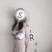 ヒメ日記 2026/04/24 13:10 投稿 白瀬(しらせ) 人妻出逢い会 百合の園 山の手本店