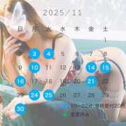 ヒメ日記 2025/11/08 12:03 投稿 夜々 サブマリン