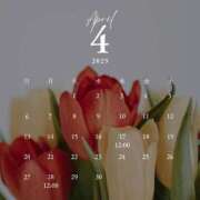 ヒメ日記 2025/04/12 10:09 投稿 藤咲 姫穂 ELEGANCE