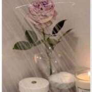 ヒメ日記 2025/04/17 12:29 投稿 藤咲 姫穂 ELEGANCE