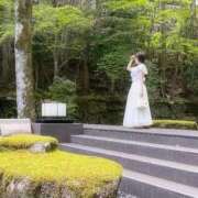 藤咲 姫穂 🤍 ELEGANCE