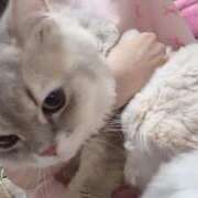 ヒメ日記 2025/07/10 15:43 投稿 春菜 さくら　美少女アイドル系か ファーストクラス ルビー