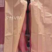 ヒメ日記 2025/07/17 14:23 投稿 春菜 さくら　美少女アイドル系か ファーストクラス ルビー