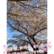 ヒメ日記 2025/04/10 21:44 投稿 みゆ Hip's千葉駅前店