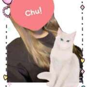 ヒメ日記 2025/04/07 16:24 投稿 まどか 水戸人妻花壇