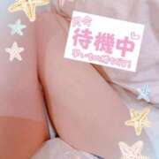 ヒメ日記 2025/04/23 00:48 投稿 まどか 水戸人妻花壇