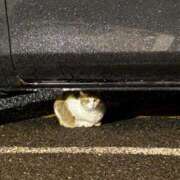 ヒメ日記 2025/05/02 23:37 投稿 まどか 水戸人妻花壇