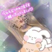 ヒメ日記 2026/03/07 18:37 投稿 まどか 水戸人妻花壇