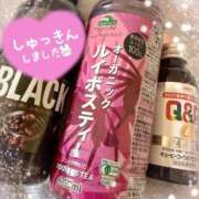 ヒメ日記 2026/04/03 15:53 投稿 まどか 水戸人妻花壇