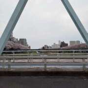 ヒメ日記 2026/04/06 18:40 投稿 まどか 水戸人妻花壇