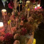 らん 12月になりました🎄 cocoro