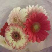 ヒメ日記 2025/04/30 18:01 投稿 山吹 いおり SUMIRE