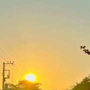 ヒメ日記 2025/06/17 19:00 投稿 山吹 いおり SUMIRE