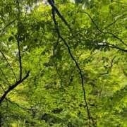 ヒメ日記 2025/07/06 21:02 投稿 山吹 いおり SUMIRE