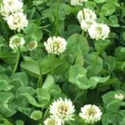 ヒメ日記 2025/05/09 20:00 投稿 まな 梅田アバンチュール