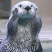 ヒメ日記 2025/05/11 21:00 投稿 まな 梅田アバンチュール