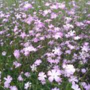 ヒメ日記 2025/05/12 08:45 投稿 まな 梅田アバンチュール