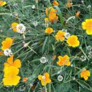 ヒメ日記 2025/05/13 08:08 投稿 まな 梅田アバンチュール