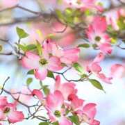 ヒメ日記 2025/05/14 20:01 投稿 まな 梅田アバンチュール