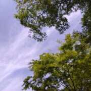 ヒメ日記 2025/05/15 08:30 投稿 まな 梅田アバンチュール