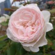 ヒメ日記 2025/05/22 20:30 投稿 まな 梅田アバンチュール