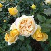 ヒメ日記 2025/06/05 22:18 投稿 まな 梅田アバンチュール