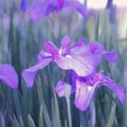 ヒメ日記 2025/06/22 19:56 投稿 まな 梅田アバンチュール