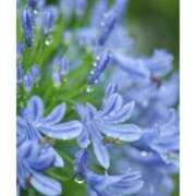 ヒメ日記 2025/06/23 09:00 投稿 まな 梅田アバンチュール