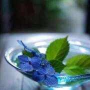 ヒメ日記 2025/06/25 20:15 投稿 まな 梅田アバンチュール