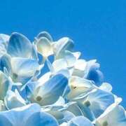 ヒメ日記 2025/06/26 21:01 投稿 まな 梅田アバンチュール