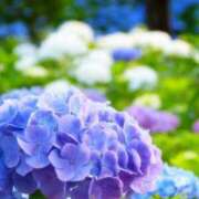 ヒメ日記 2025/06/27 08:15 投稿 まな 梅田アバンチュール